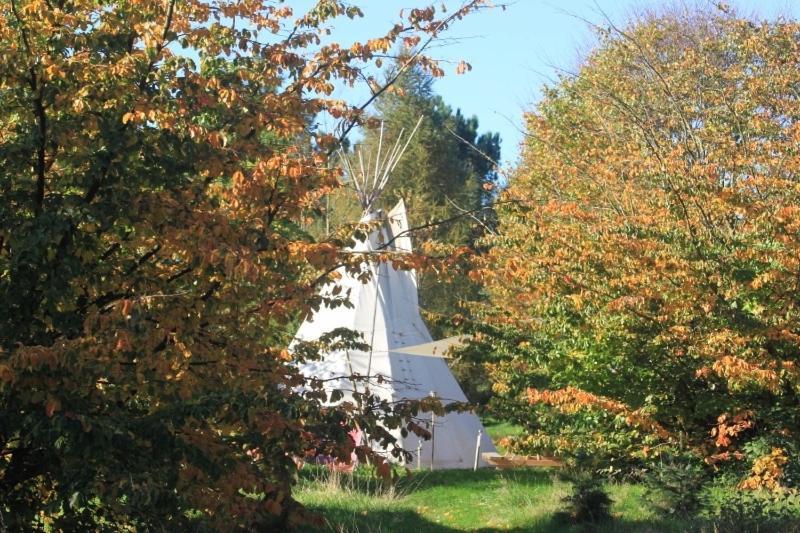 Levaltipis Hotel Saint-Gatien-des-Bois Room photo